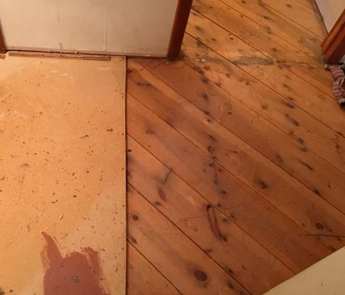 dry subfloor with no mold