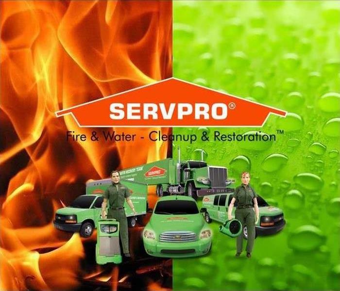 The servpro fleet of vans and stormy and blaze